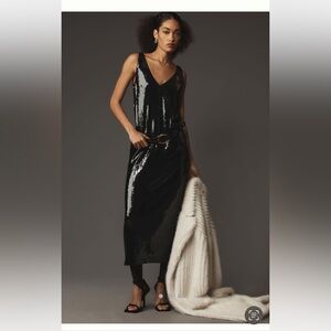 NWT Anthropologie Sophia Rue Selia Sequin Midi Dress